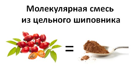 shypovnik